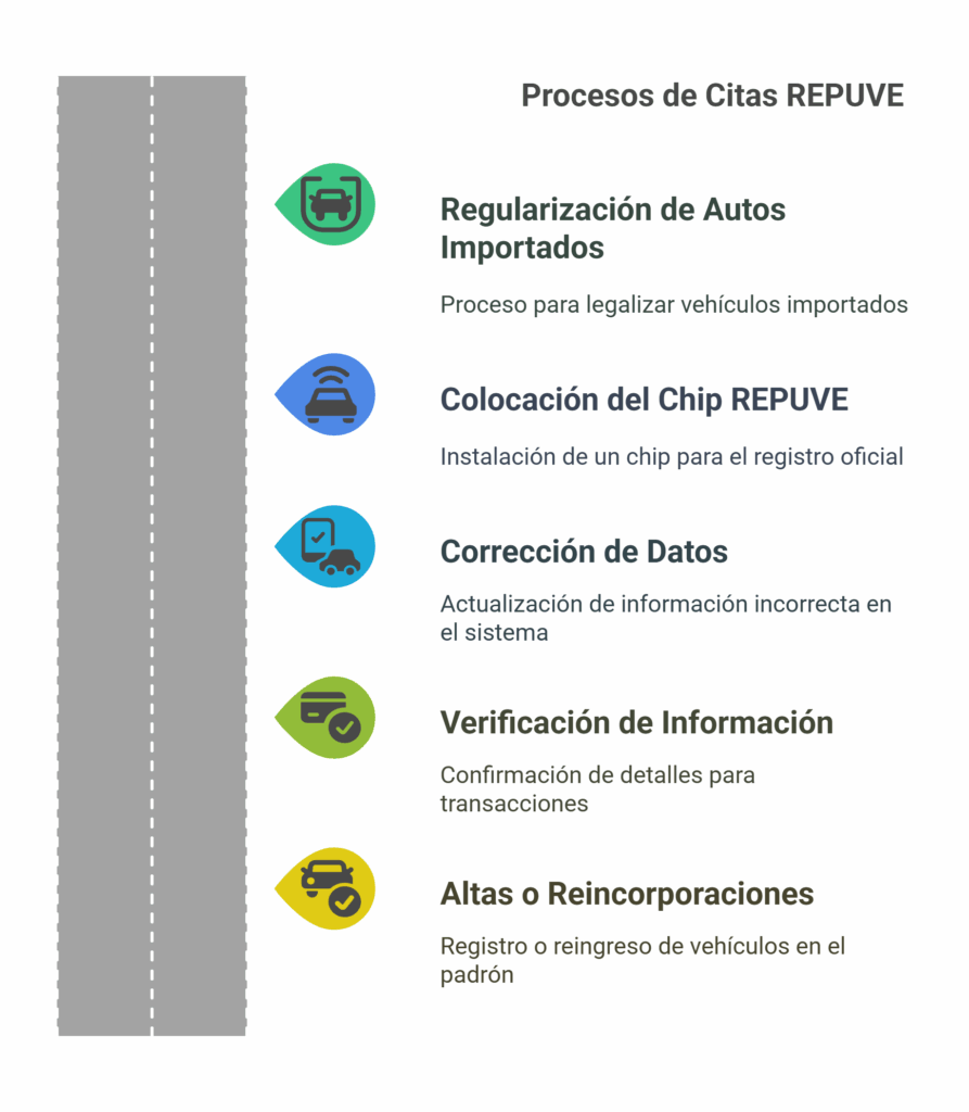citas repuve